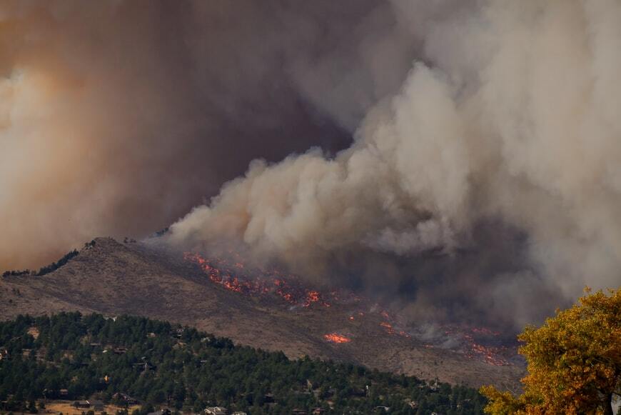 A forest wildfire representing the impact of wildfires.