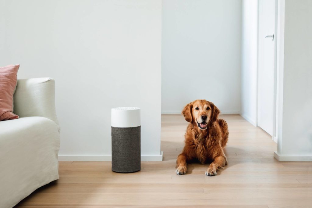An air purifier located in a living room and a dog next to it.